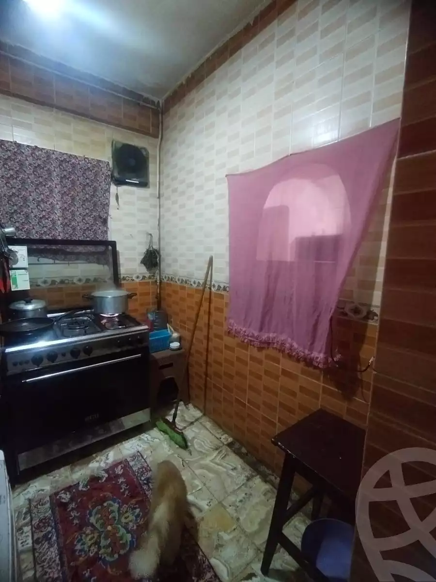 https://aqarmap.com.eg/en/listing/6096805-for-sale-alexandria-l-jmy-lbytsh-el-hay-st