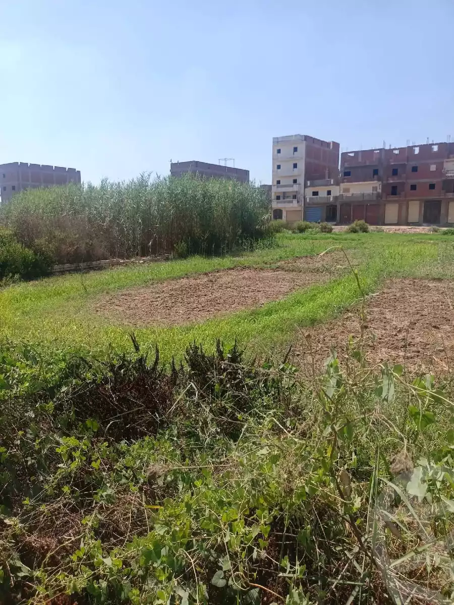 https://aqarmap.com.eg/ar/listing/6098913-for-sale-beheira-damanhour-damanhour-city-al-hoofi-st