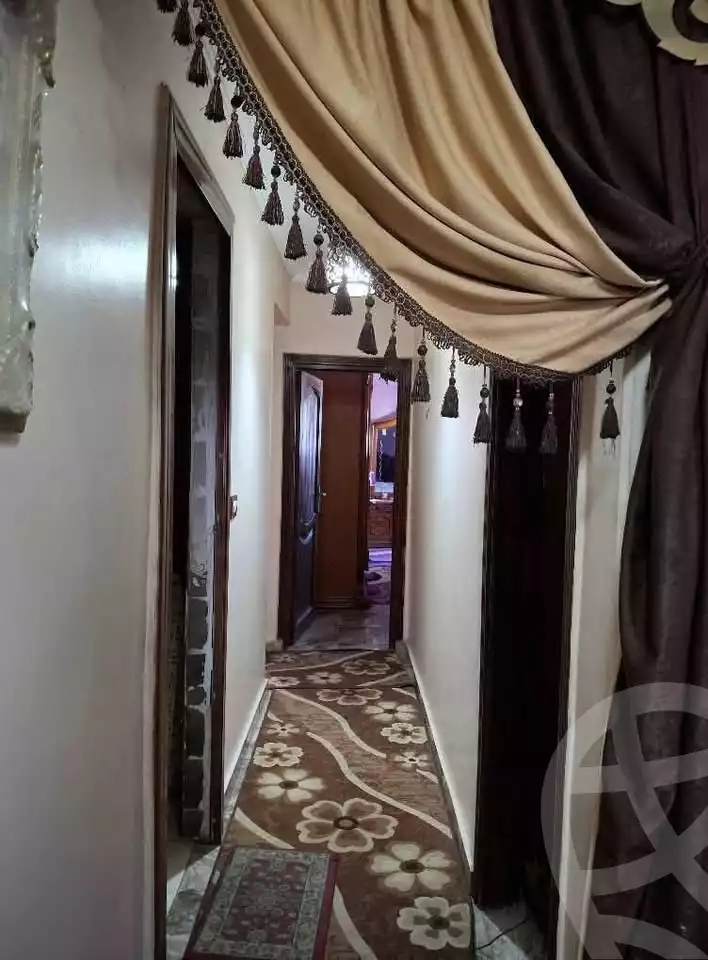https://aqarmap.com.eg/ar/listing/6099633-for-sale-alexandria-l-jmy-lbytsh-qased-kareem-st