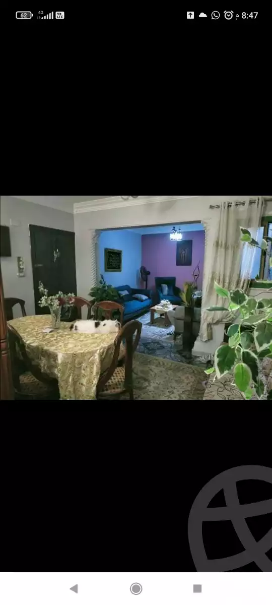 https://aqarmap.com.eg/en/listing/6100615-for-sale-cairo-ain-shams-ain-shams-el-sharkia