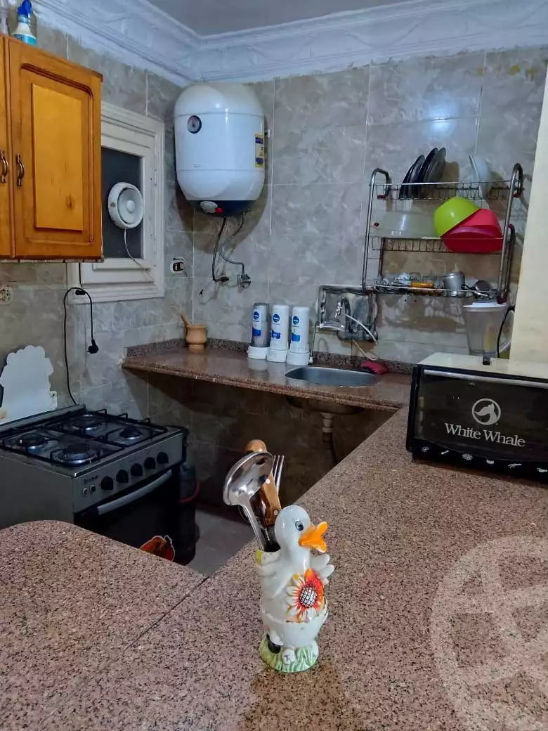 https://aqarmap.com.eg/en/listing/6101102-for-rent-alexandria-l-jmy-shataa-el-nakheel