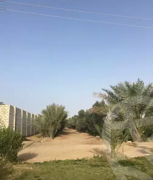 https://aqarmap.com.eg/en/listing/6101904-for-sale-ismailia-abu-sweer