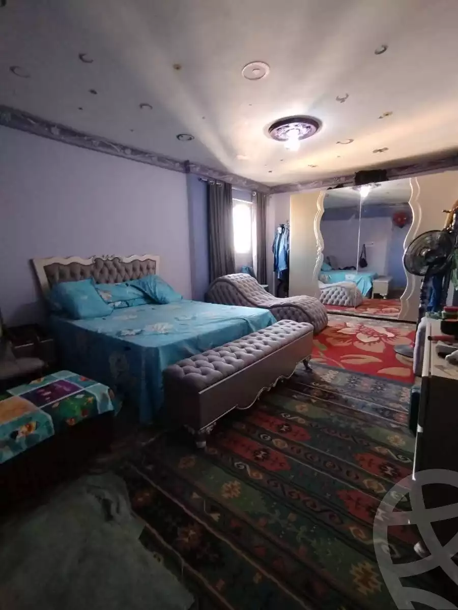 https://aqarmap.com.eg/en/listing/6103611-for-sale-alexandria-l-jmy-lbytsh-qased-kareem-st