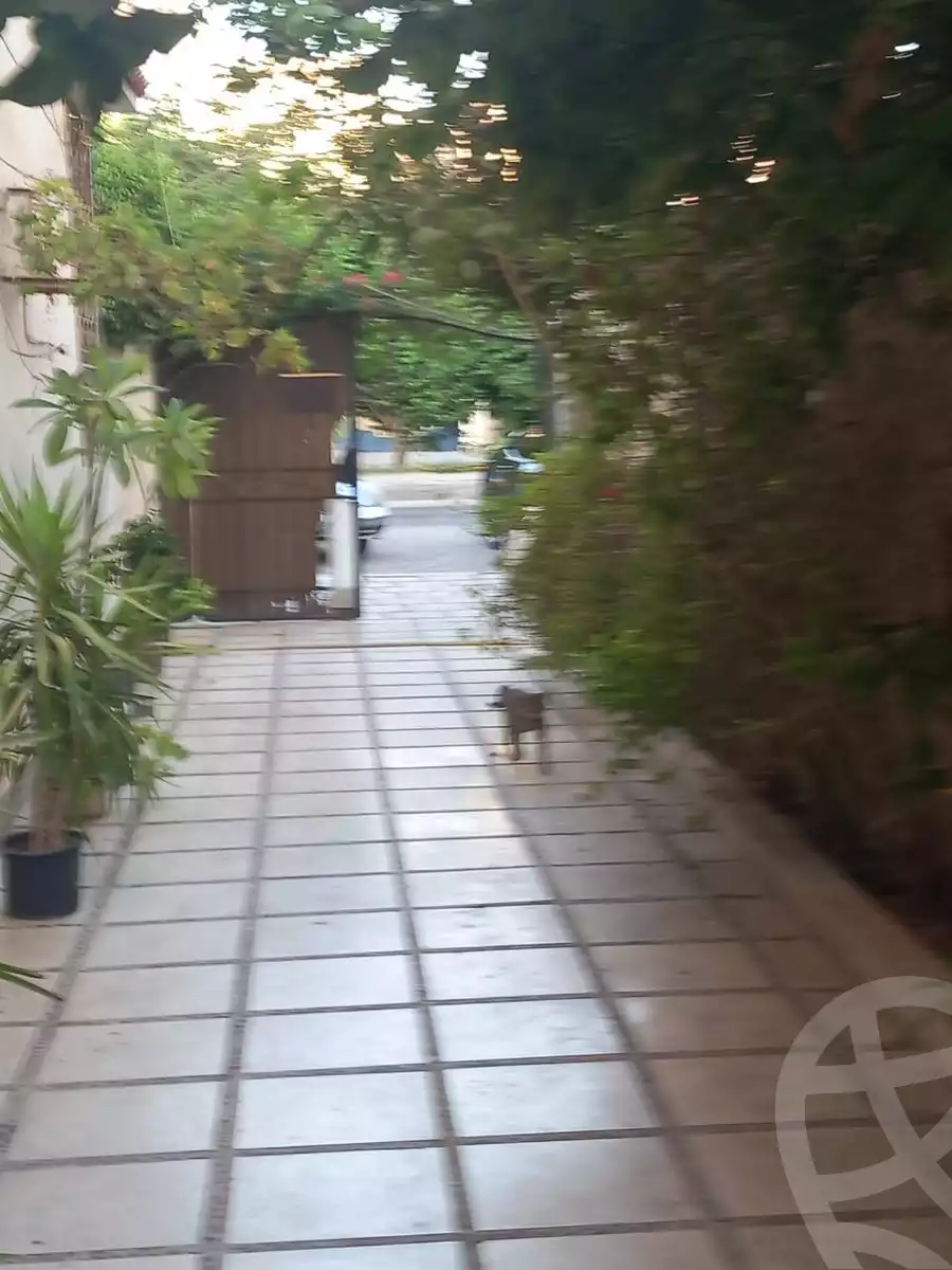 https://aqarmap.com.eg/en/listing/6103730-for-rent-cairo-new-cairo-el-ahyaa-fifth-neighborhood