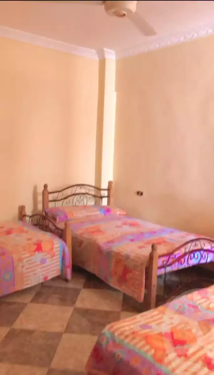 https://aqarmap.com.eg/en/listing/6103858-for-rent-suez-faisal-el-nour