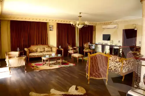 https://aqarmap.com.eg/en/listing/6105860-for-sale-cairo-new-cairo-el-narges-el-narges-5-aly-shaarawy-st