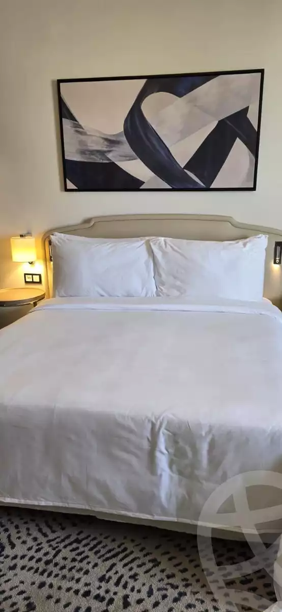 https://aqarmap.com.eg/en/listing/6106382-for-rent-north-coast-resorts-mrsy-address-beach-marassi