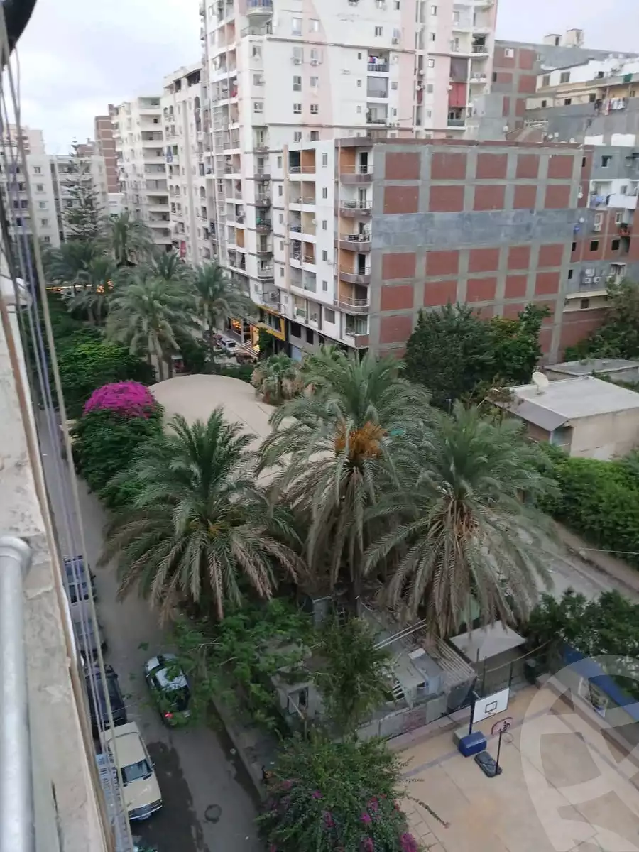 https://aqarmap.com.eg/en/listing/6107740-for-sale-alexandria-l-jmy-lbytsh-bianchiii-el-arbaeen-st
