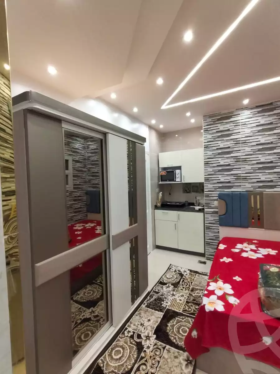 https://aqarmap.com.eg/en/listing/6023002-for-rent-cairo-nasr-city