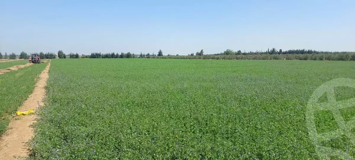 https://aqarmap.com.eg/en/listing/6110206-for-sale-ismailia-el-qantara-gharb
