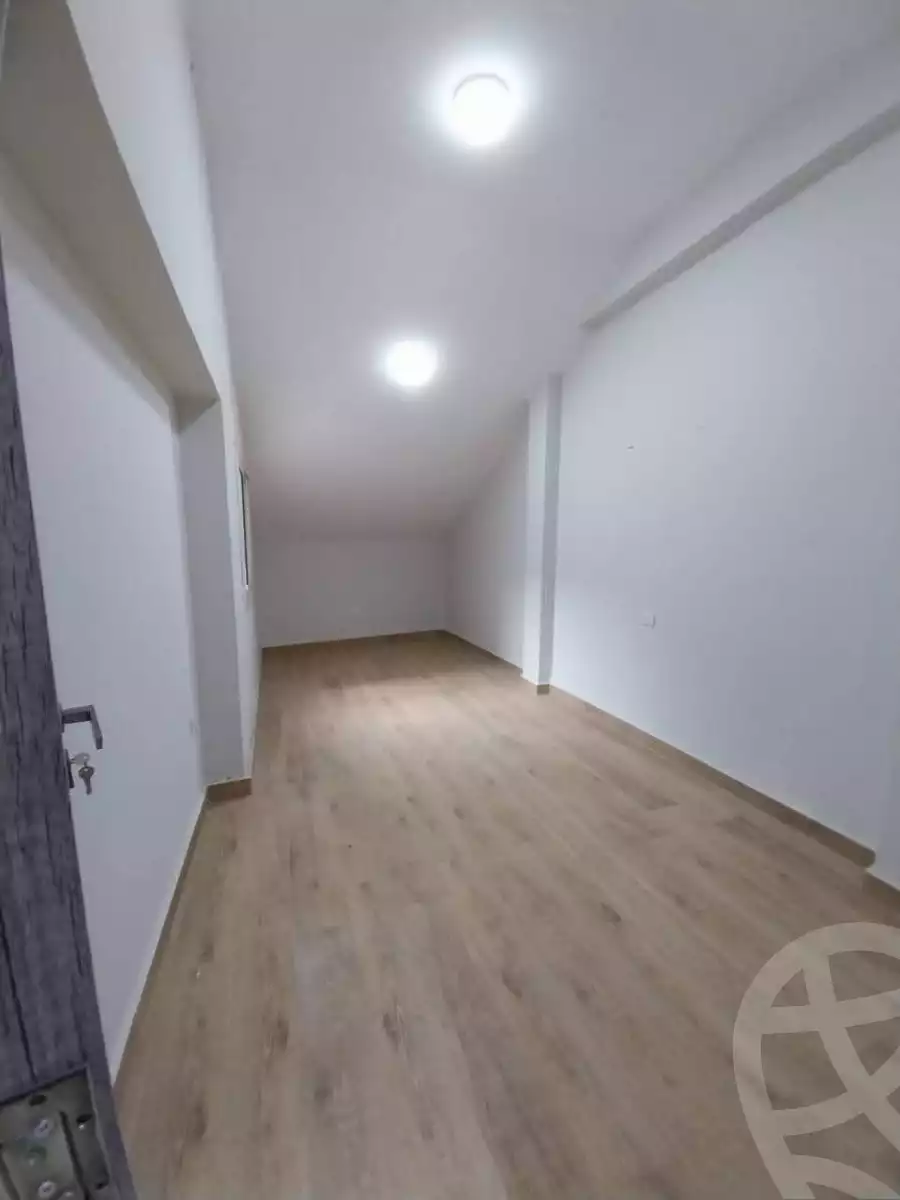 https://aqarmap.com.eg/en/listing/6116702-for-rent-cairo-mokattam-lhdb-l-ly-adly-el-melegy-st