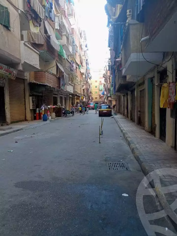 https://aqarmap.com.eg/ar/listing/6120304-for-sale-alexandria-el-asafra-l-sfr-qbly