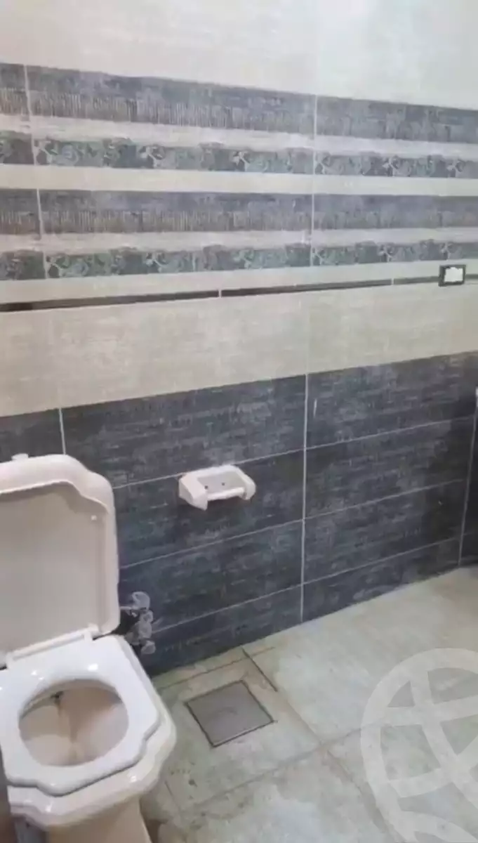 https://aqarmap.com.eg/en/listing/6120614-for-rent-monufia-shibin-el-kom