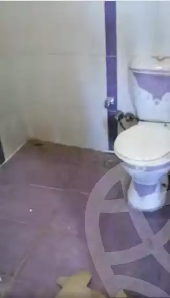 https://aqarmap.com.eg/en/listing/6120723-for-sale-qalyubia-shubra-el-khaima