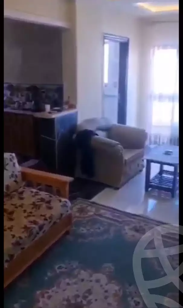 https://aqarmap.com.eg/ar/listing/6120986-for-sale-alexandria-l-jmy-lbytsh-al-nouqrashi-st