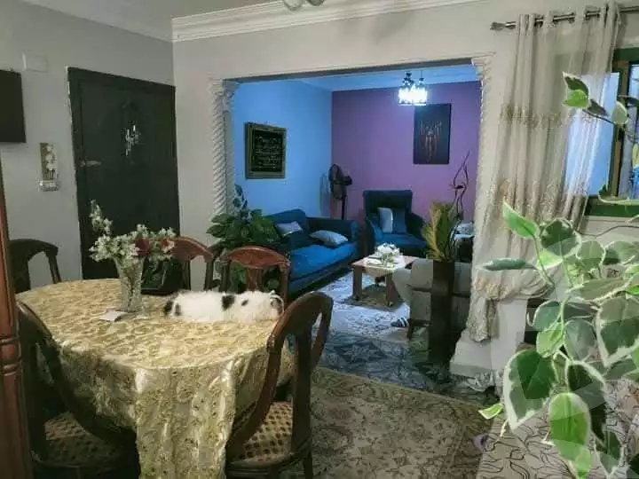 https://aqarmap.com.eg/en/listing/6123063-for-sale-cairo-ain-shams-ain-shams-el-sharkia
