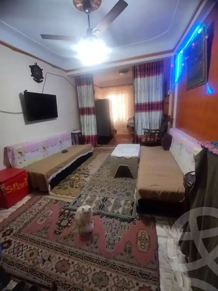 https://aqarmap.com.eg/en/listing/6123463-for-sale-alexandria-l-jmy-lbytsh-el-hay-st