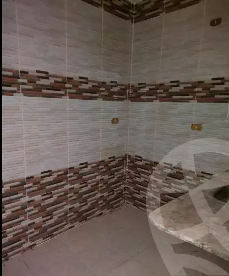 https://aqarmap.com.eg/en/listing/6123602-for-rent-qalyubia-shubra-el-khaima-om-bayoumi
