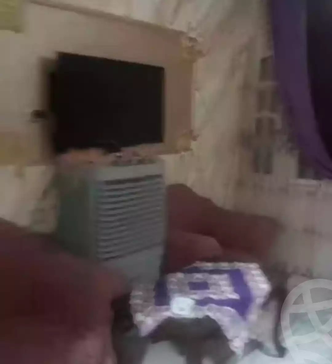 https://aqarmap.com.eg/en/listing/6126743-for-sale-gharbia-tanta-l-jyzy