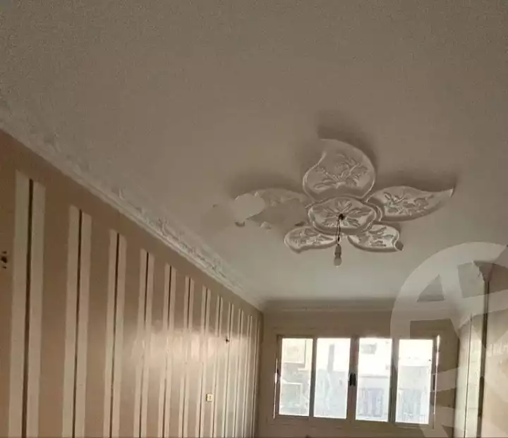 https://aqarmap.com.eg/en/listing/6127315-for-rent-sharqia-zagazig