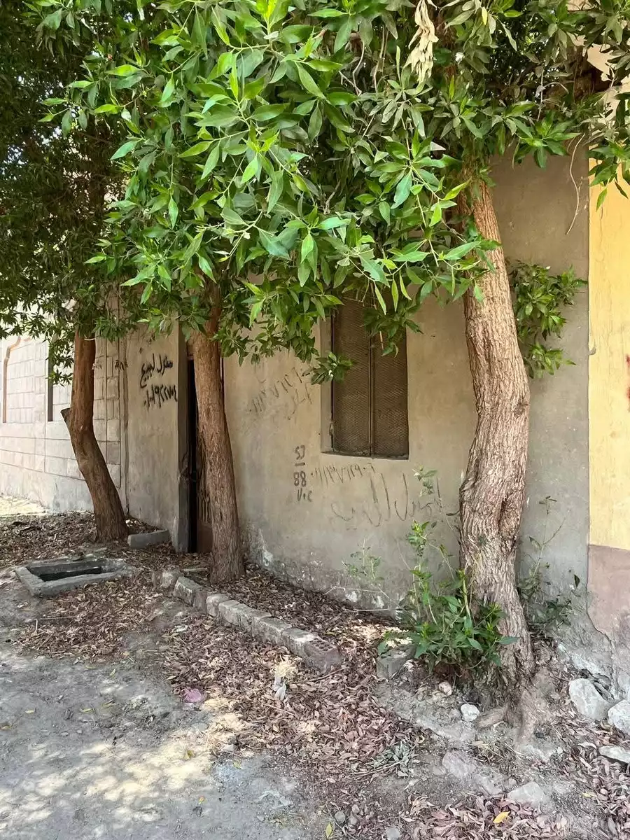 https://aqarmap.com.eg/en/listing/6130477-for-sale-cairo-helwan