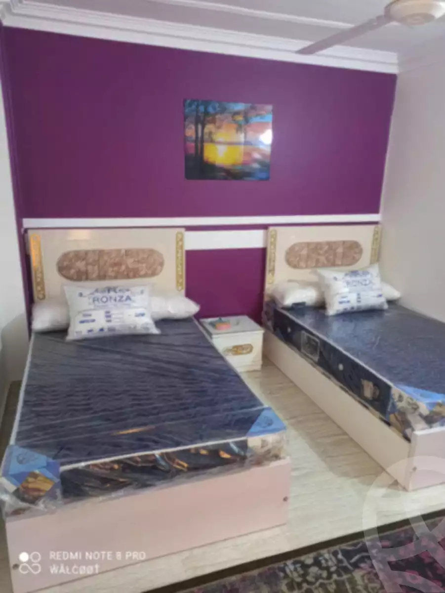 https://aqarmap.com.eg/en/listing/6135415-for-rent-suez-faisal-el-nour