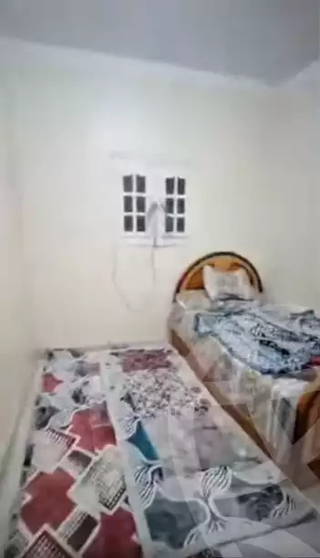 https://aqarmap.com.eg/en/listing/6139209-for-rent-sharqia-zagazig-zagazig-city