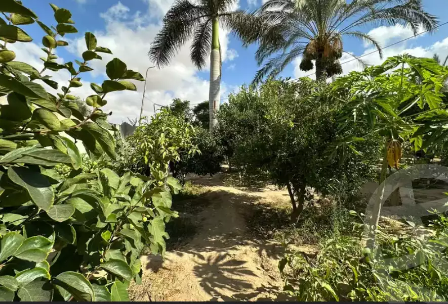 https://aqarmap.com.eg/en/listing/6140166-for-sale-alexandria-borg-el-arab