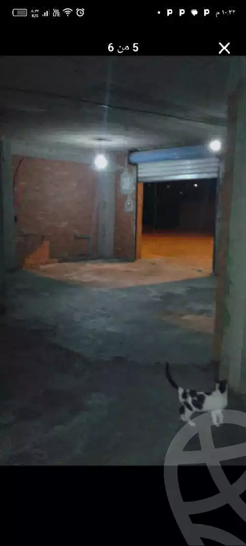 https://aqarmap.com.eg/en/listing/5839351-for-rent-qalyubia-banha-city-banha-city-west-el-balad