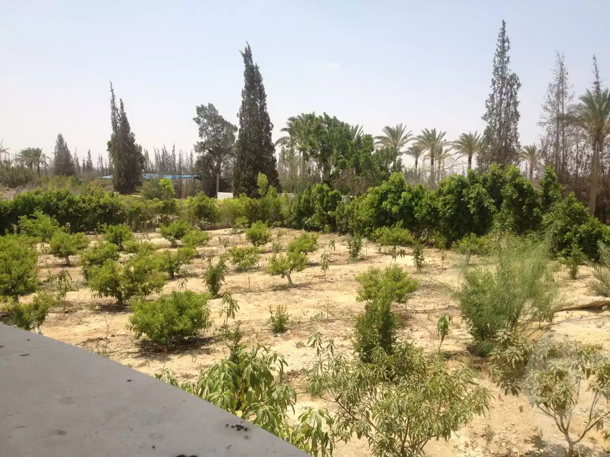 https://aqarmap.com.eg/ar/listing/6143508-for-sale-cairo-el-sheikh-zayed-city-alex-cairo-desert-road-kmbwnd-fy-tryq-skndry-lshrwy