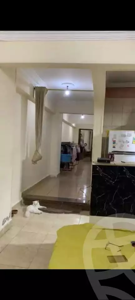 https://aqarmap.com.eg/en/listing/6145098-for-sale-cairo-faisal-el-maryotyah-al-shesheini-st