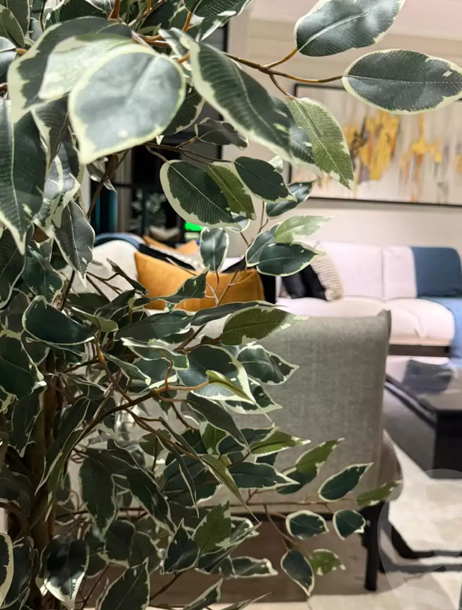 https://aqarmap.com.eg/ar/listing/5711614-for-rent-cairo-dokki