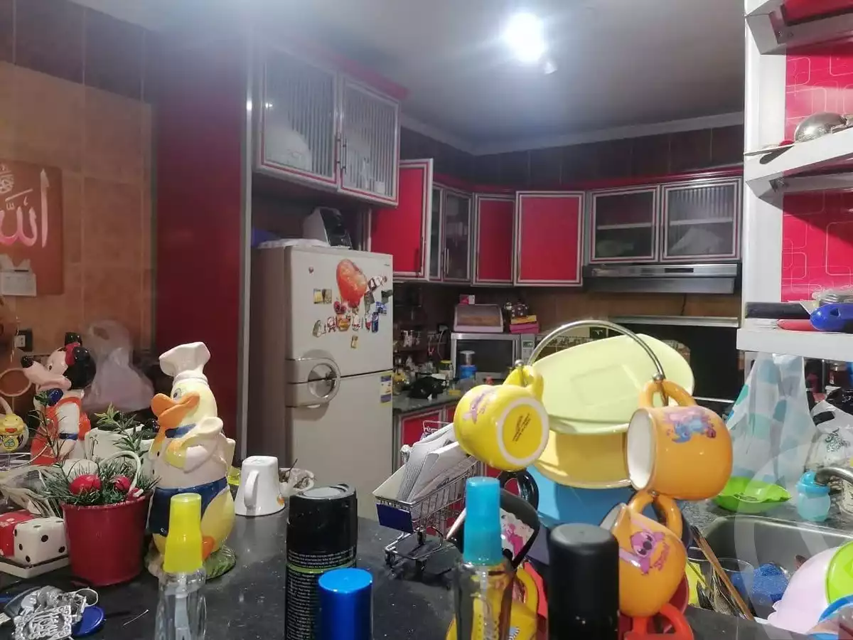 https://aqarmap.com.eg/en/listing/6147543-for-sale-cairo-faisal-el-maryotyah