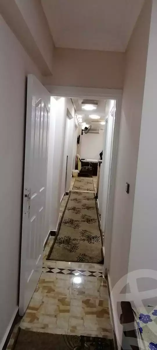 https://aqarmap.com.eg/en/listing/6148221-for-rent-alexandria-miami-khld-bn-lwlyd