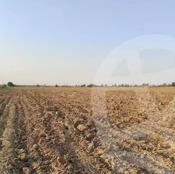 https://aqarmap.com.eg/ar/listing/6149223-for-sale-el-fayoum-tamiya