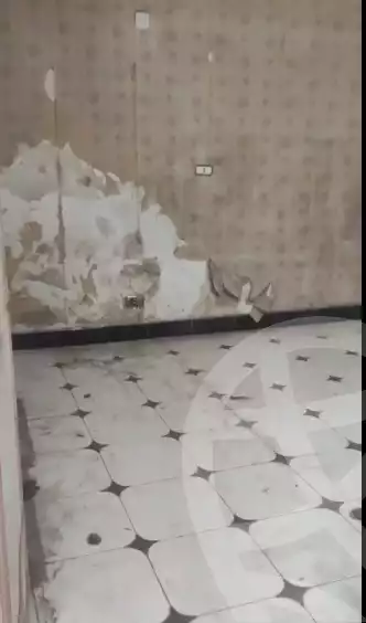 https://aqarmap.com.eg/en/listing/6149704-for-sale-cairo-ain-shams-mnshy-lthryr