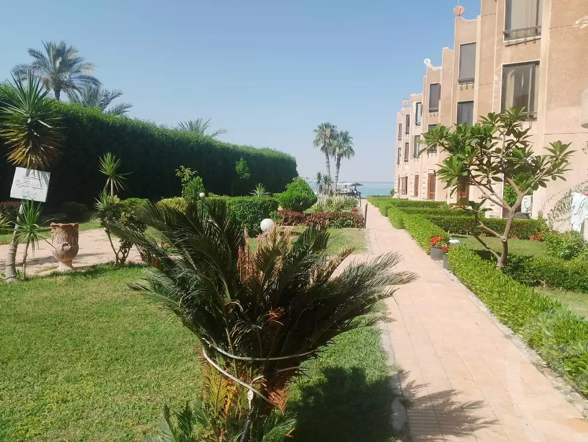 https://aqarmap.com.eg/ar/listing/6149788-for-rent-ismailia-fayed-al-sawhel-st
