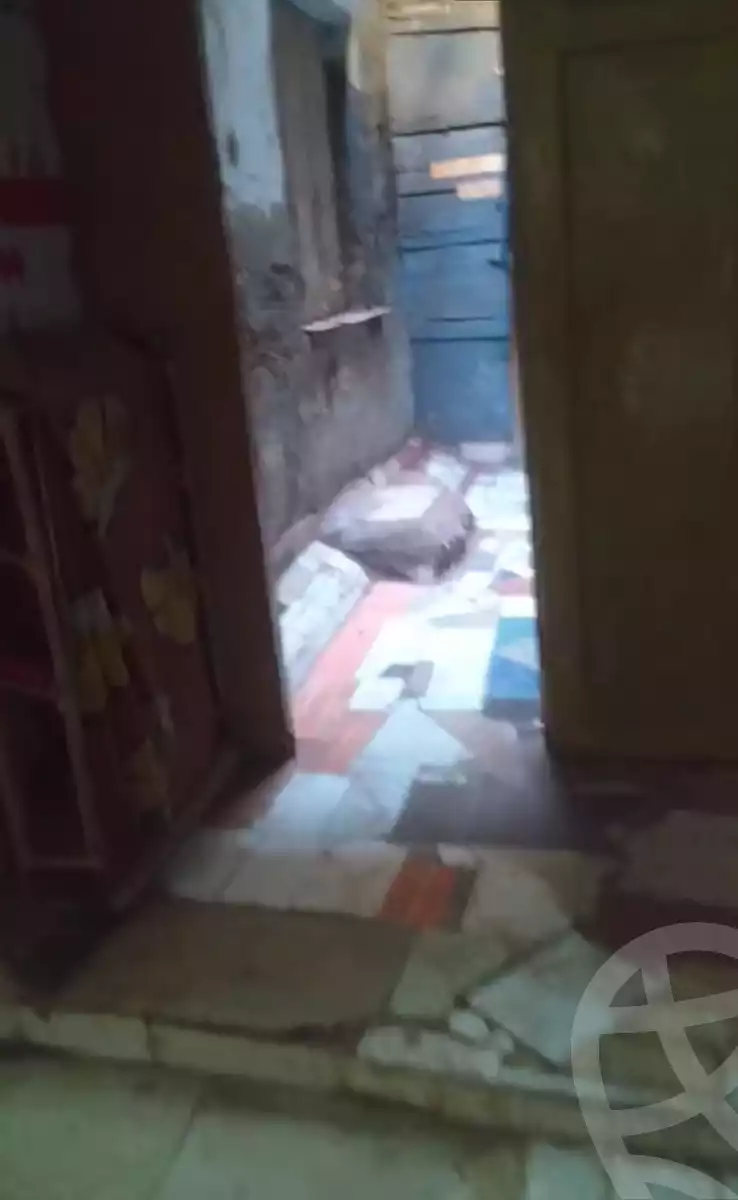 https://aqarmap.com.eg/en/listing/6151430-for-sale-dakahlia-mansoura-menyet-sandob