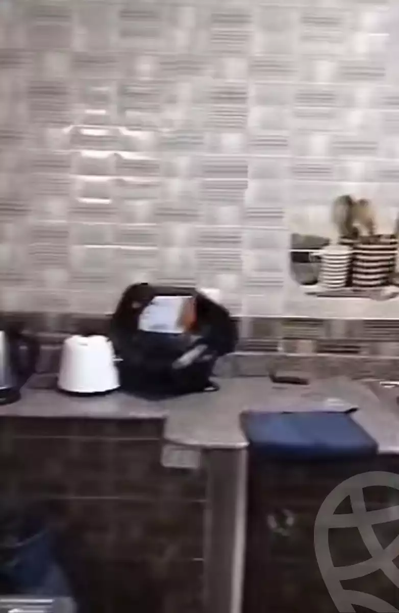 https://aqarmap.com.eg/ar/listing/6152039-for-rent-sharqia-zagazig-zagazig-city-ghasham-rd