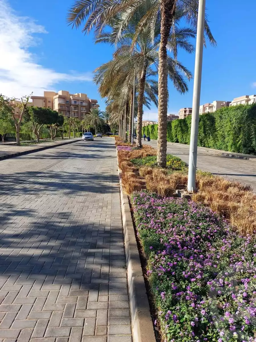 https://aqarmap.com.eg/en/listing/6152638-for-sale-cairo-6th-of-october-hadaeq-october-kmbwnd-fy-hdyq-ktwbr-shjr-ryzydns-y-jy-y-llttwyr
