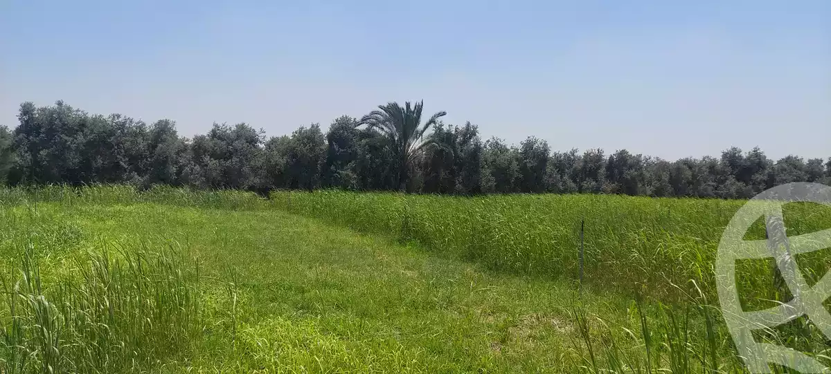 https://aqarmap.com.eg/en/listing/6153287-for-sale-ismailia-kassassin