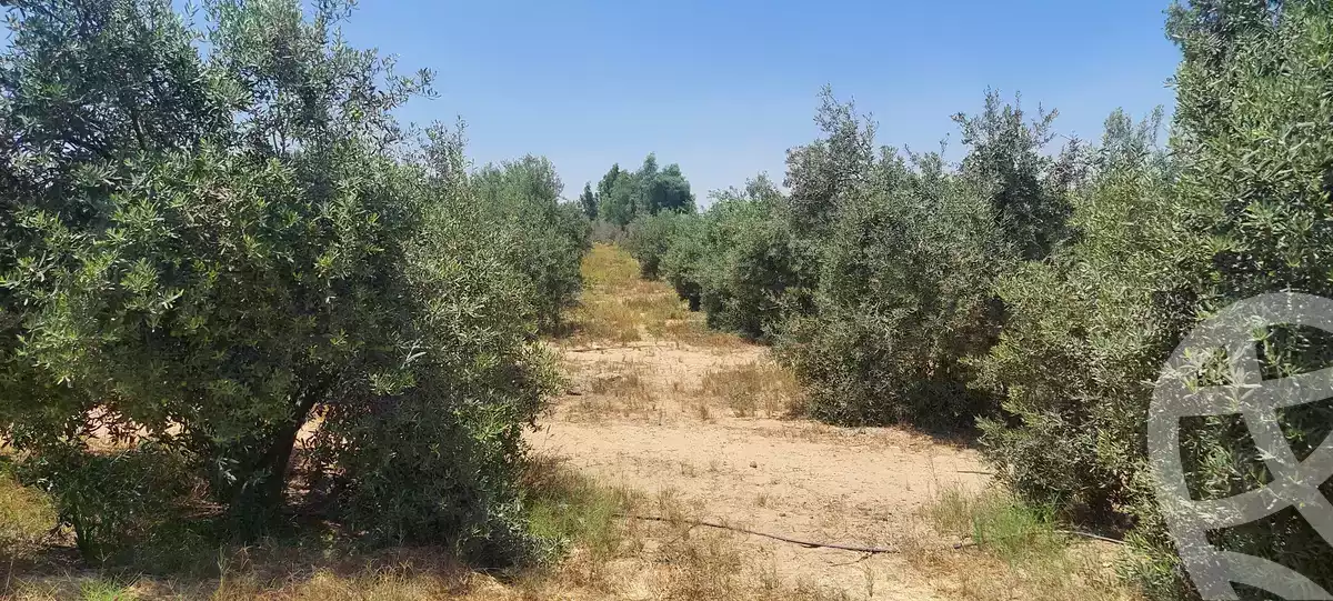 https://aqarmap.com.eg/en/listing/6153287-for-sale-ismailia-kassassin