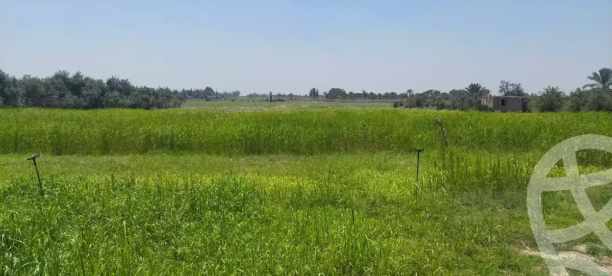 https://aqarmap.com.eg/en/listing/6153287-for-sale-ismailia-kassassin