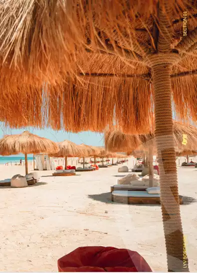 https://aqarmap.com.eg/en/listing/6154440-for-sale-north-coast-resorts-lyv-resort-gates