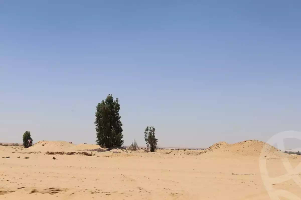 https://aqarmap.com.eg/ar/listing/6155410-for-sale-cairo-6th-of-october-green-belt-wadi-el-nile