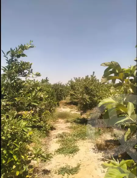 https://aqarmap.com.eg/en/listing/6156206-for-sale-beheira-etay-el-baroud