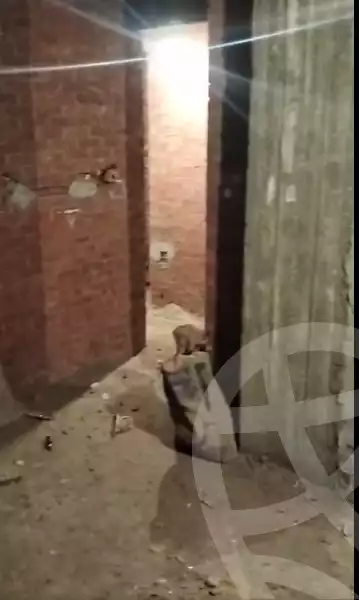 https://aqarmap.com.eg/en/listing/6162232-for-sale-qalyubia-shubra-el-khaima