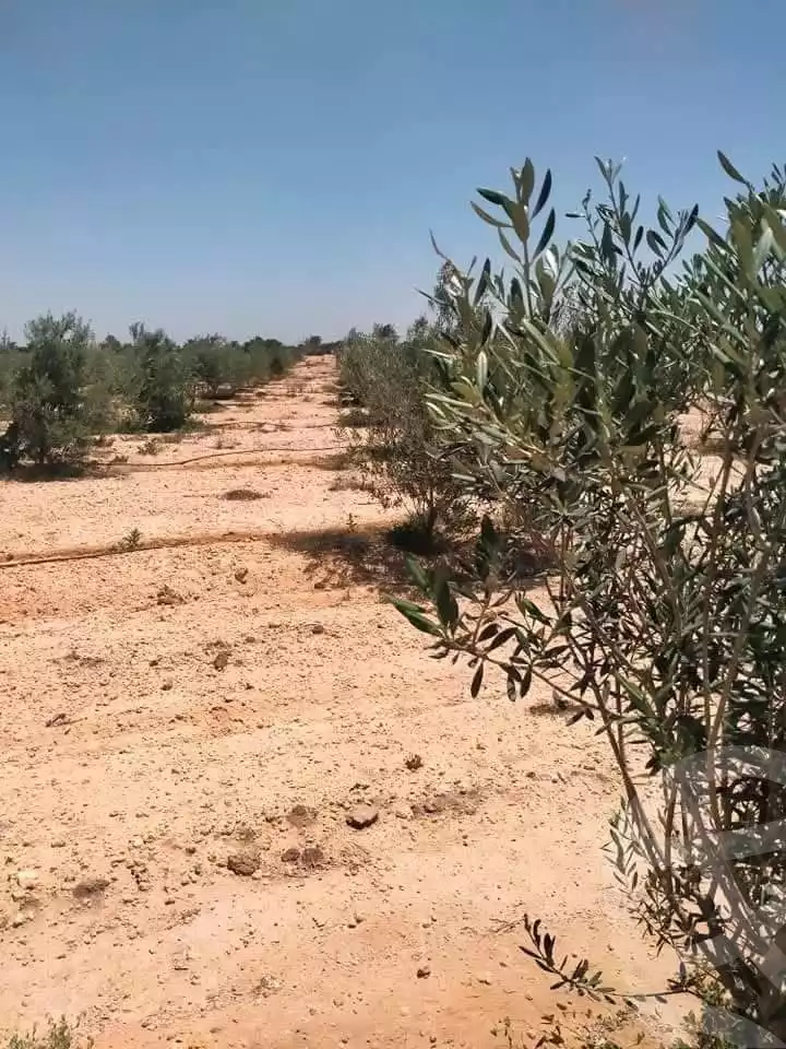 https://aqarmap.com.eg/en/listing/6164827-for-sale-beheira-wadi-el-natrun