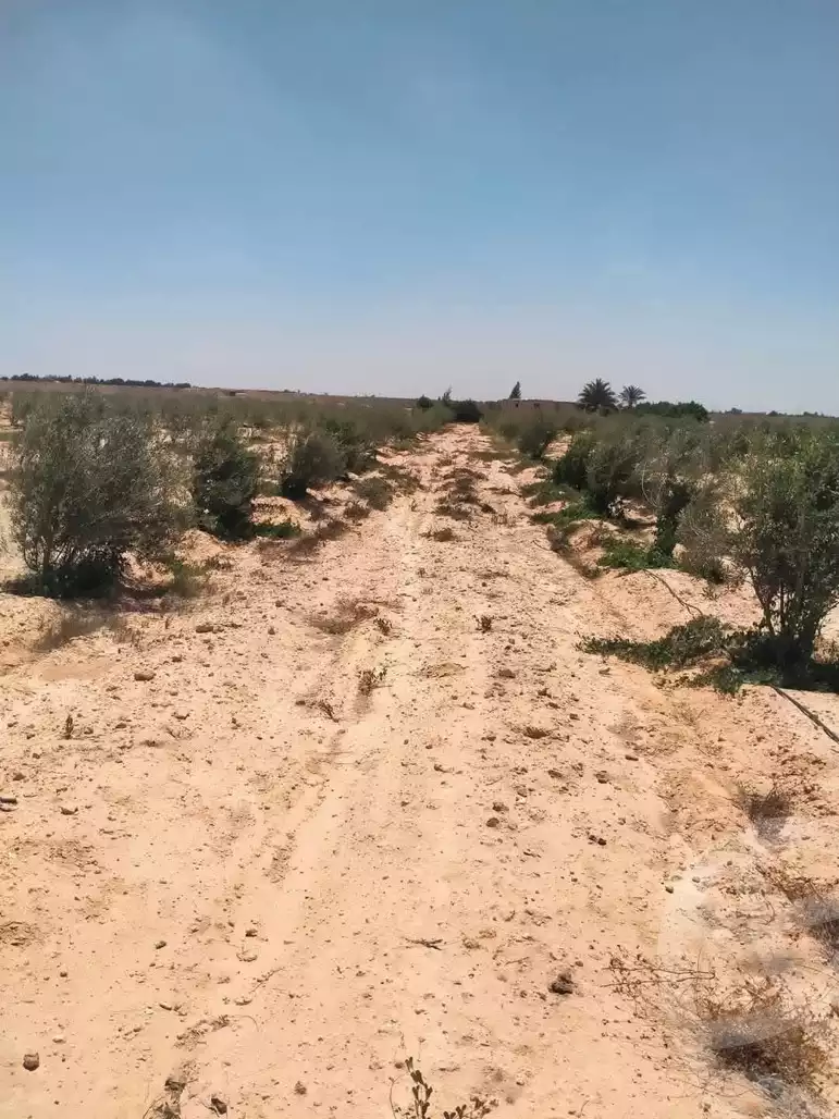 https://aqarmap.com.eg/en/listing/6164827-for-sale-beheira-wadi-el-natrun