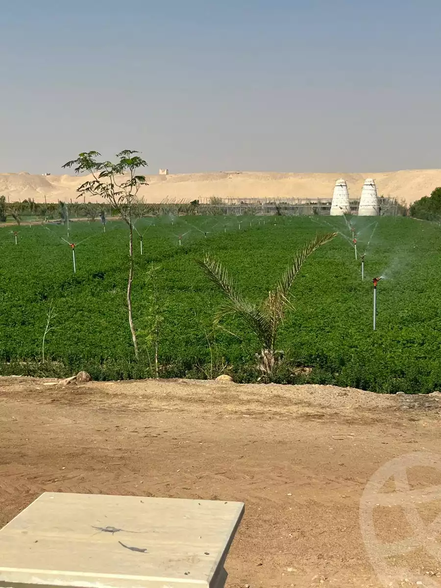 https://aqarmap.com.eg/en/listing/6166610-for-sale-qina-abu-tesht-abu-tesht-city